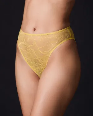 Go Ask Alice High Cut Brief