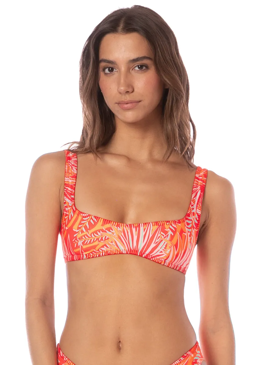 Maaji Coral Foliage Sunquest Classic Bralette Bikini Top